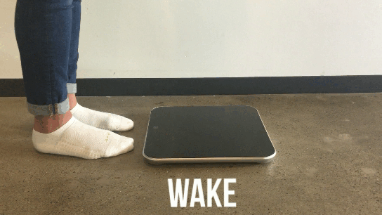 Omada_Scale_Wake.gif